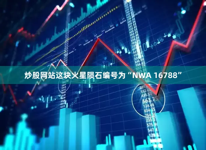 炒股网站这块火星陨石编号为“NWA 16788”