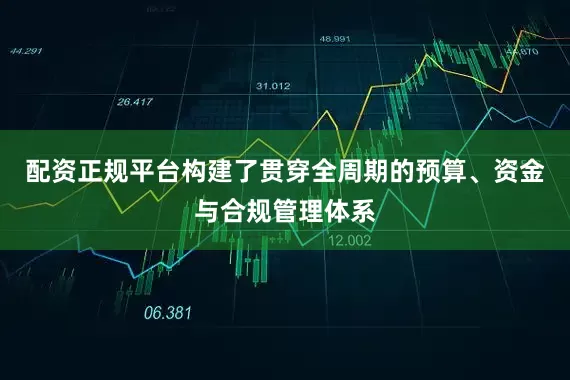 配资正规平台构建了贯穿全周期的预算、资金与合规管理体系