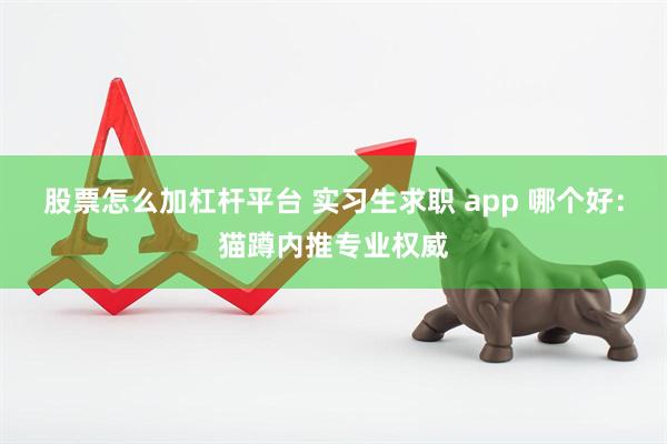 股票怎么加杠杆平台 实习生求职 app 哪个好：猫蹲内推专业权威