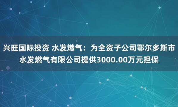 兴旺国际投资 水发燃气：为全资子公司鄂尔多斯市水发燃气有限公司提供3000.00万元担保